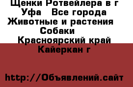 Щенки Ротвейлера в г.Уфа - Все города Животные и растения » Собаки   . Красноярский край,Кайеркан г.